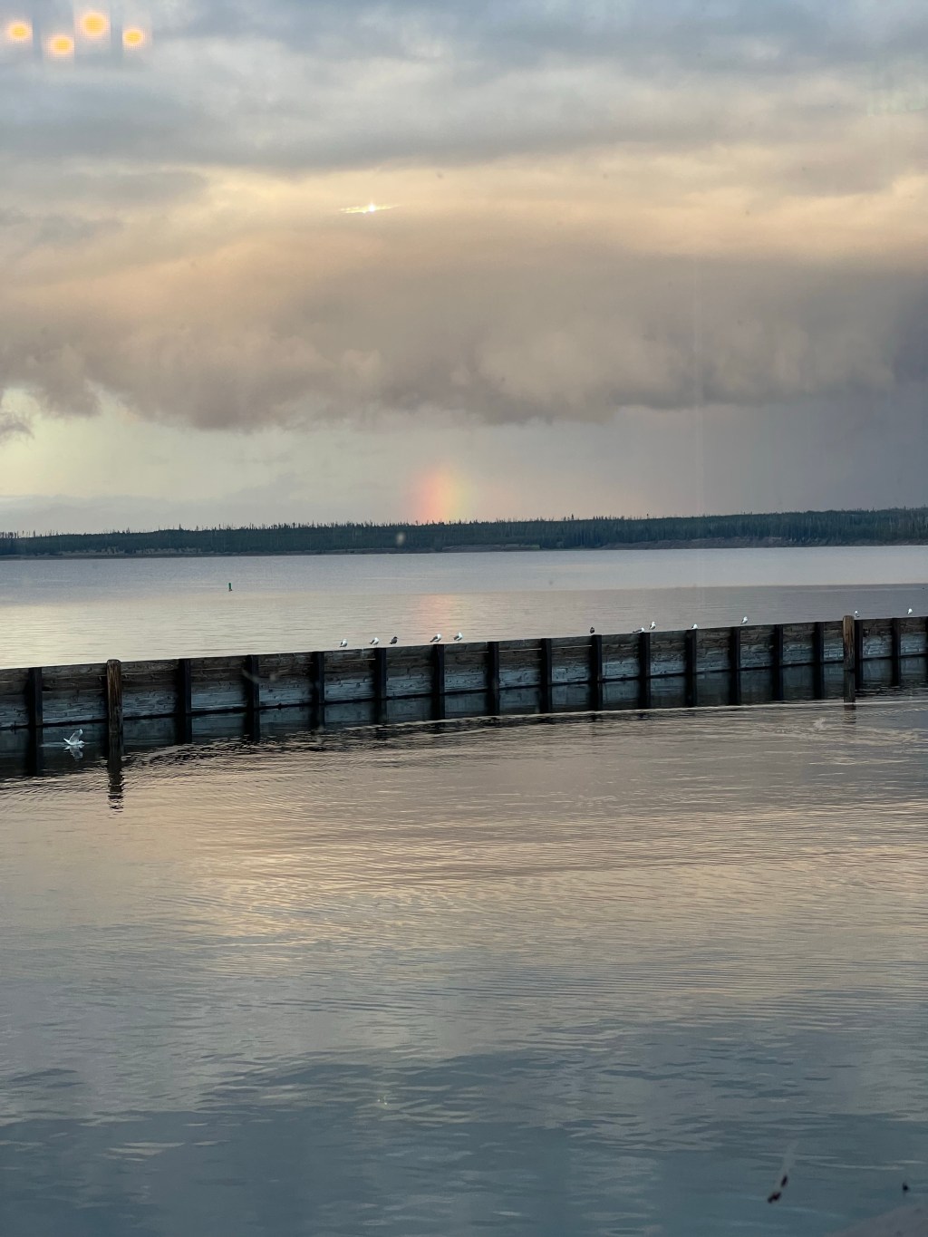 Yellowstone National Park: Tips and&nbsp;Tricks