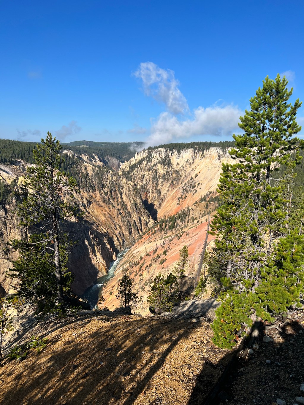 Yellowstone National Park: Grand Canyon of Yellowstone and Lamar Valley (Day&nbsp;4)