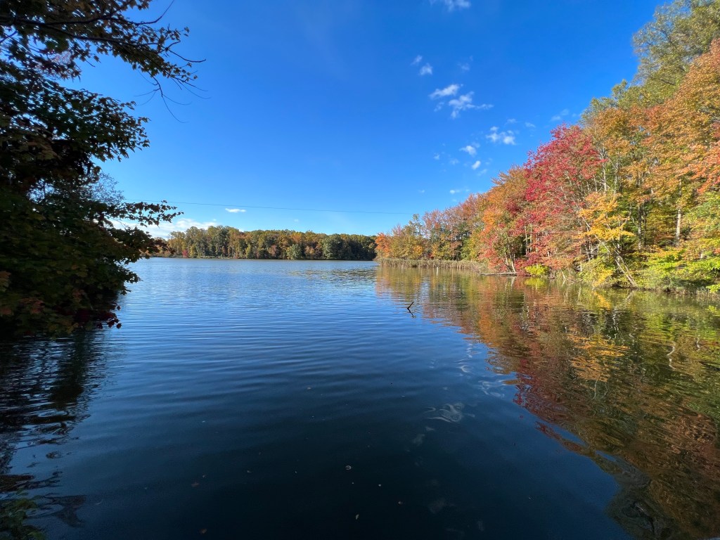 Trail Review: Lums Pond State Park’s Swamp Forest&nbsp;Trail