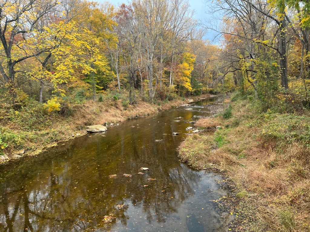 Trail Review: Fair Hill’s Ranger Recommended Hiking&nbsp;Trail