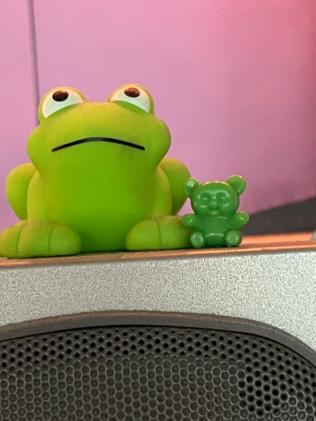 Spotlight: The Bear&nbsp;Country