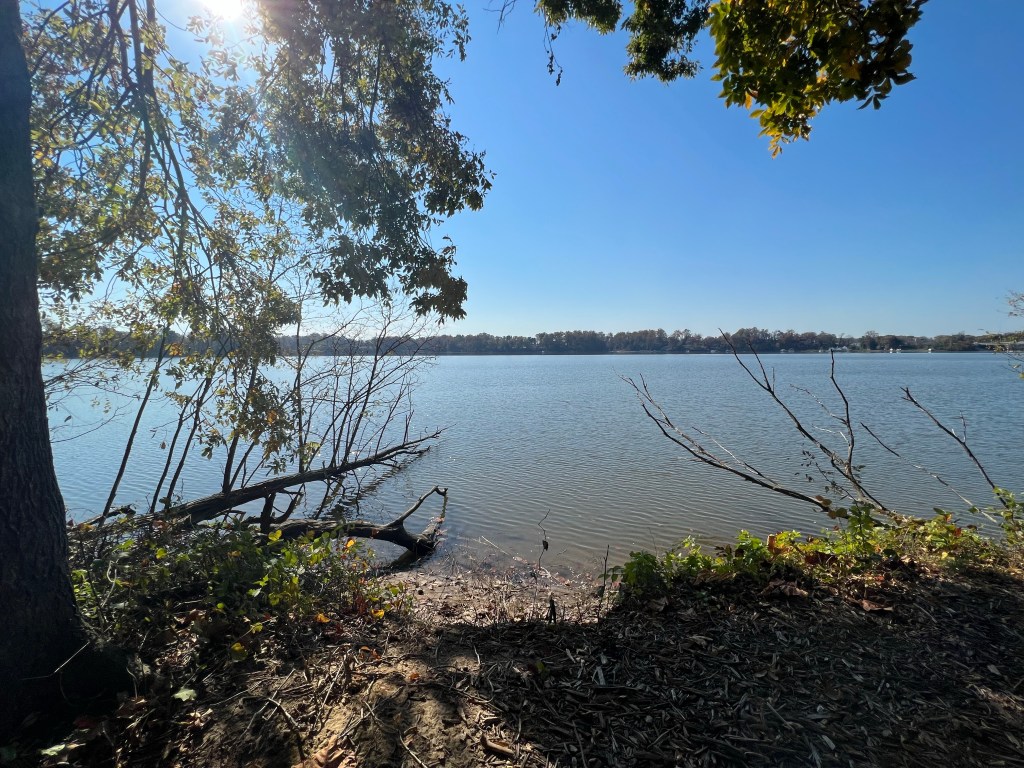 Trail Review: Bohemia River State Park’s Greenbrier and Meadow Loop&nbsp;Trails