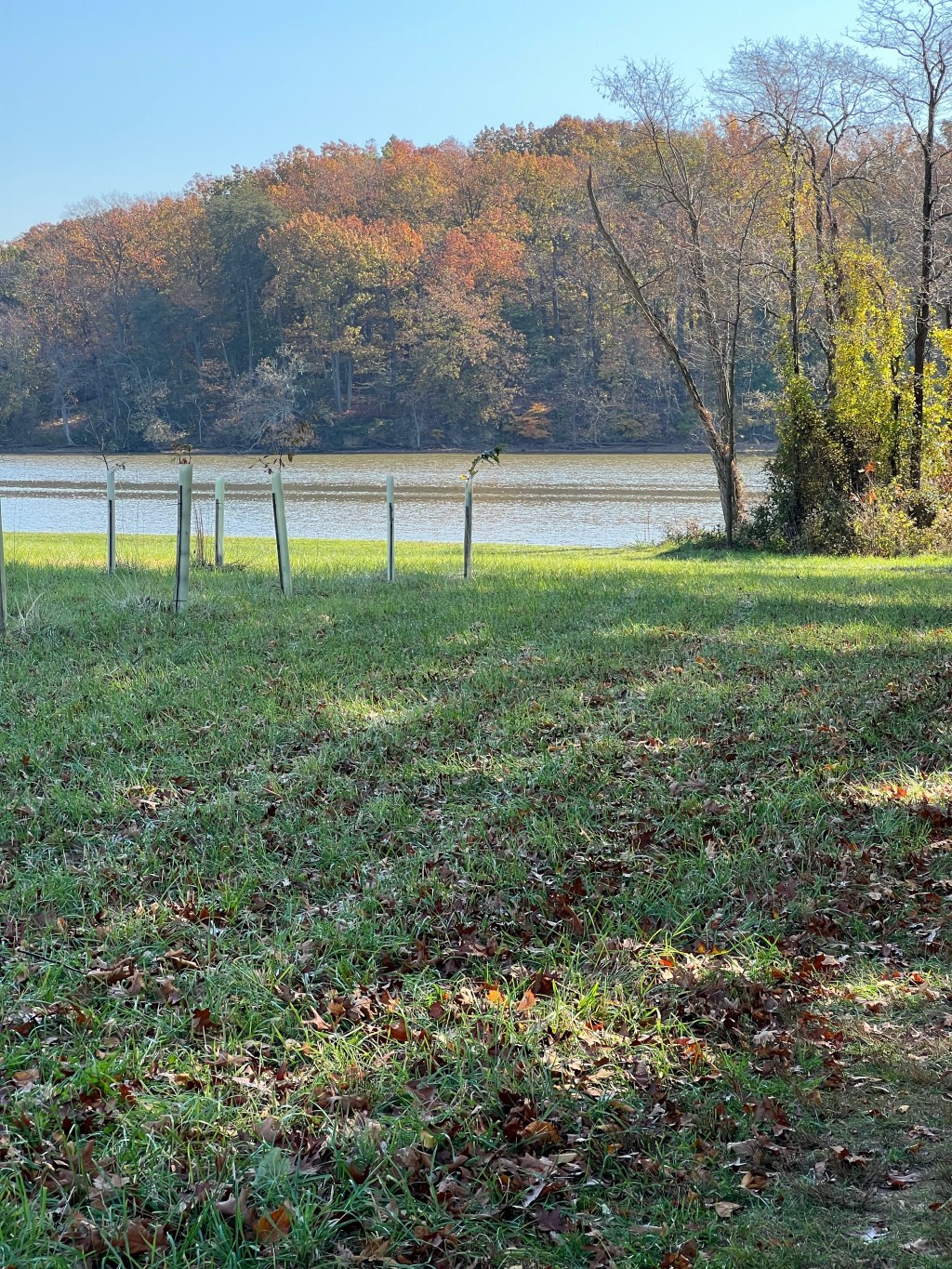 Trail Review: Bohemia River State Park’s Watercress&nbsp;Trail