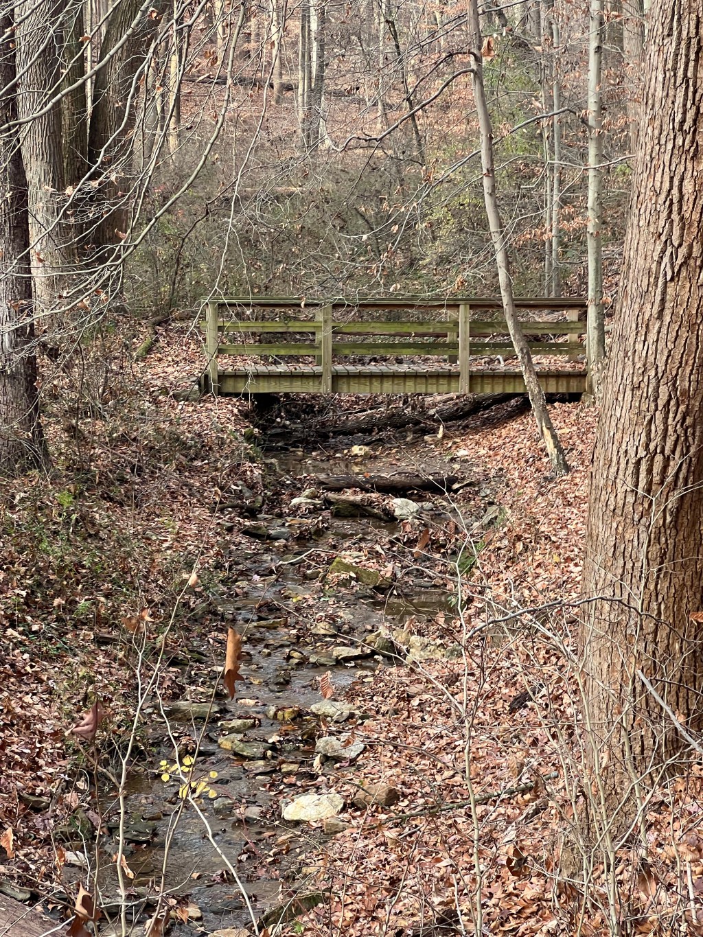 Trail Review: White Clay Creek State Park’s Tri-State&nbsp;Trail