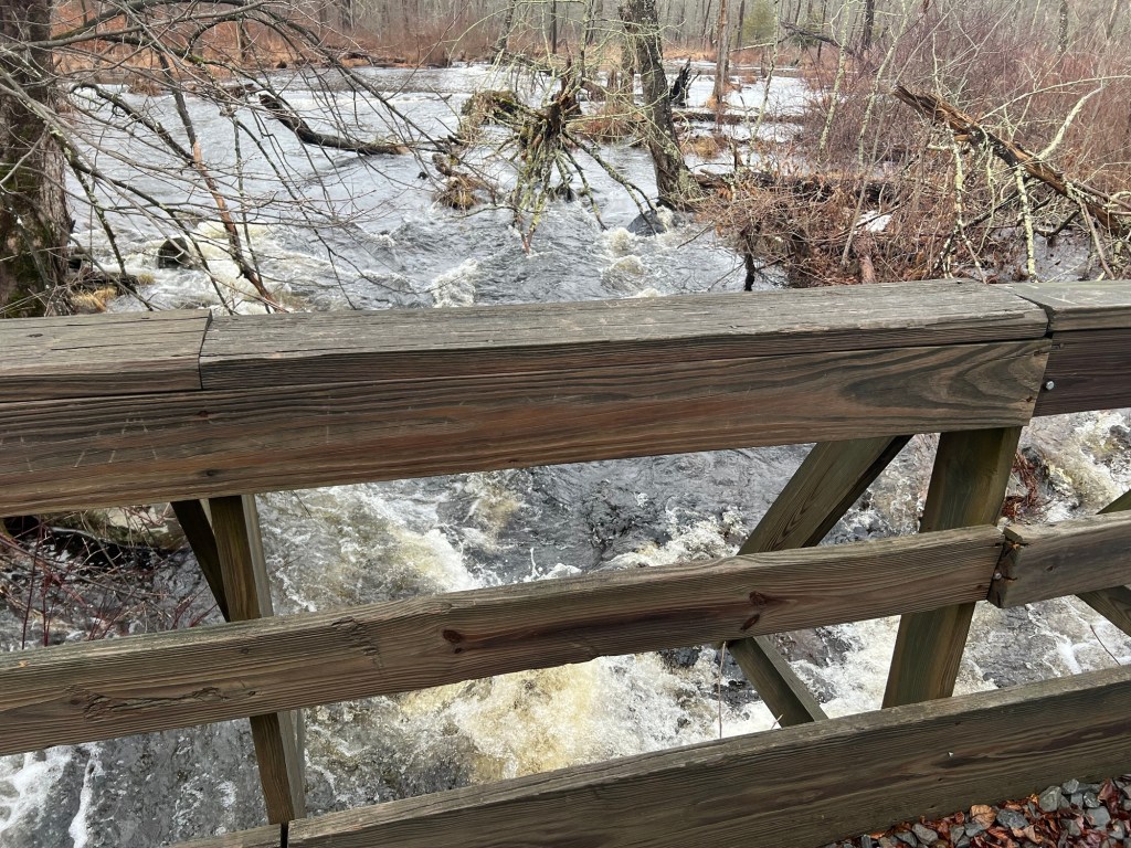 Off the Beaten…Stream?