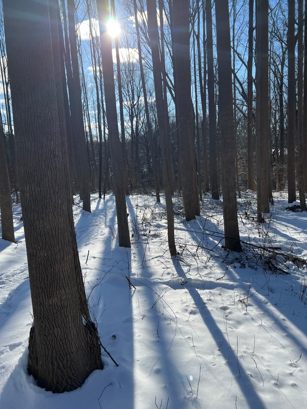 Trail Review: The Middle Run Valley Loop&nbsp;+