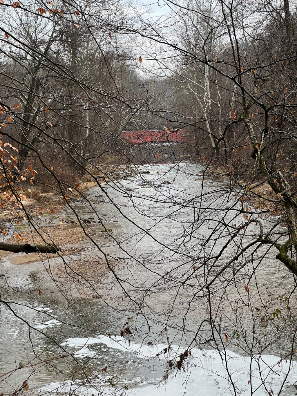 Trail Review: Fair Hill’s Orange&nbsp;Trail