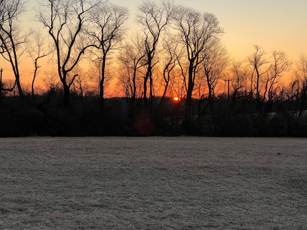 Trail Review: Fair Hill’s Green Trail-Stupid Hill Trail&nbsp;Loop