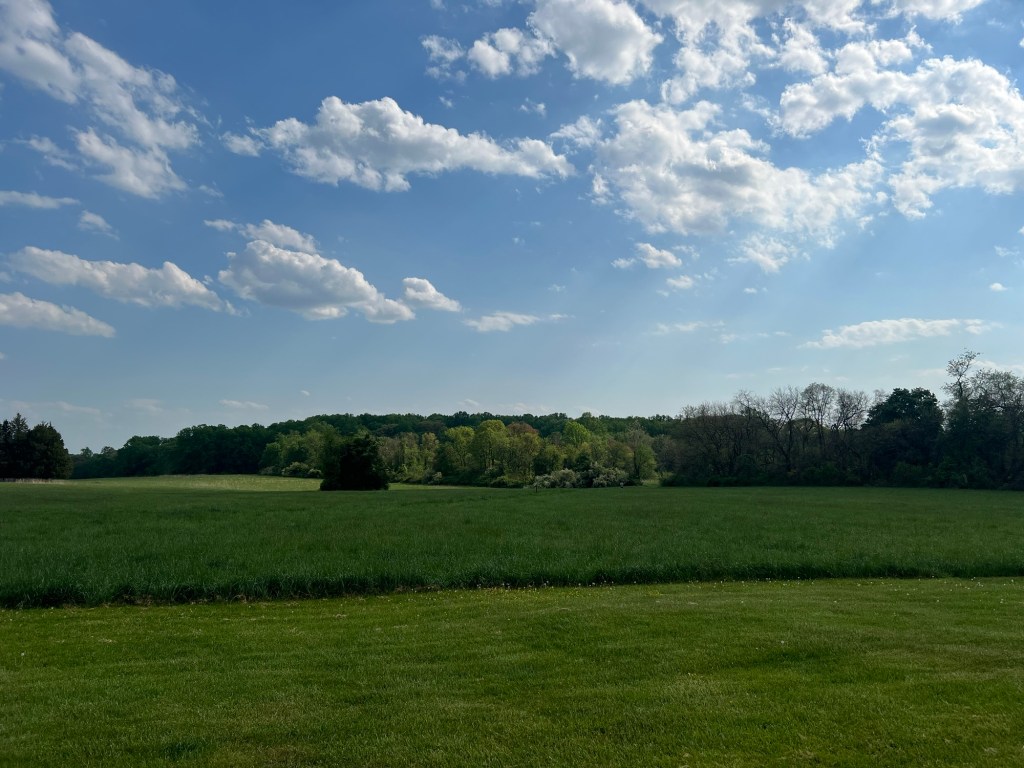 Trail Review: Fair Hill’s Red&nbsp;Trail