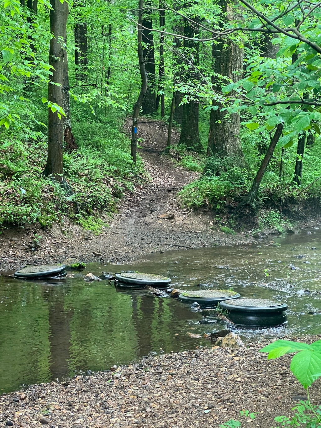 Trail Review: Fair Hill’s Blue&nbsp;Trail