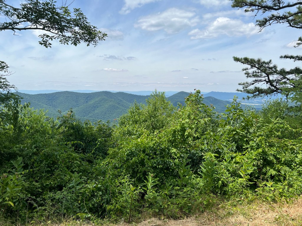 Shenandoah Backpacking Day 2: The&nbsp;Wilderness